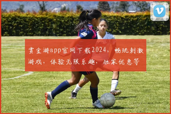 赏金游app官网下载2024，畅玩刺激游戏，体验无限乐趣，独家优惠等你来，立即下载